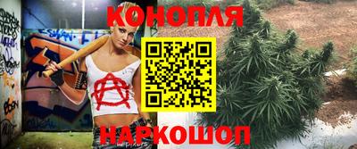 молекула духа Можайск