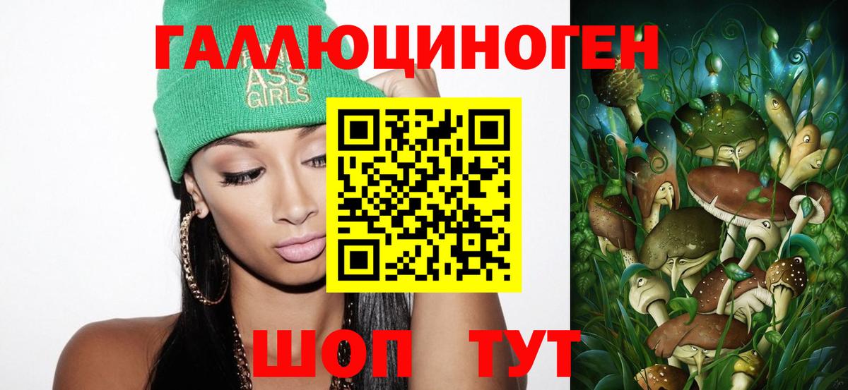 Сухой Лог  продажа наркотиков  Вход с VPN  Псилоцибиновые грибы Magic Shrooms 
